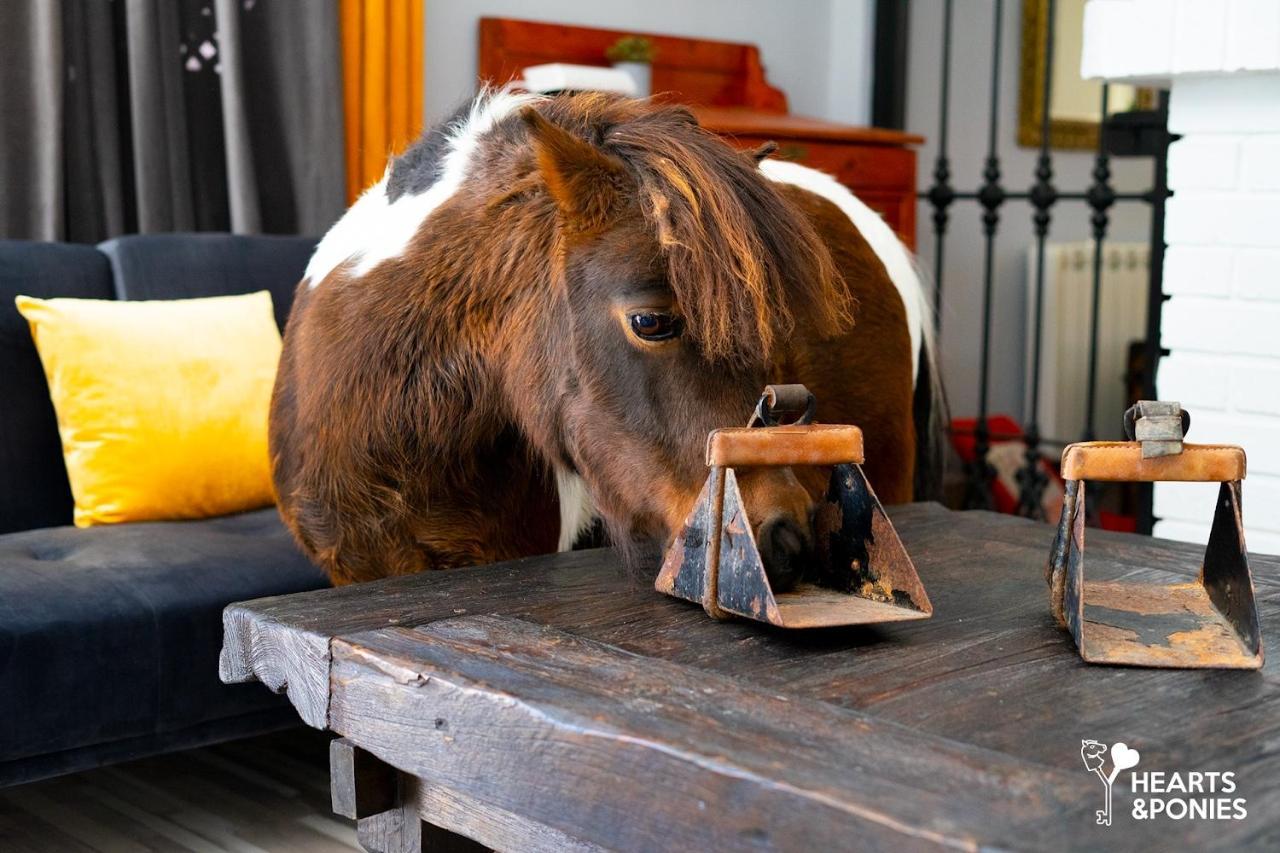 Pensjonat Hearts&Ponies Chinchón Zewnętrze zdjęcie