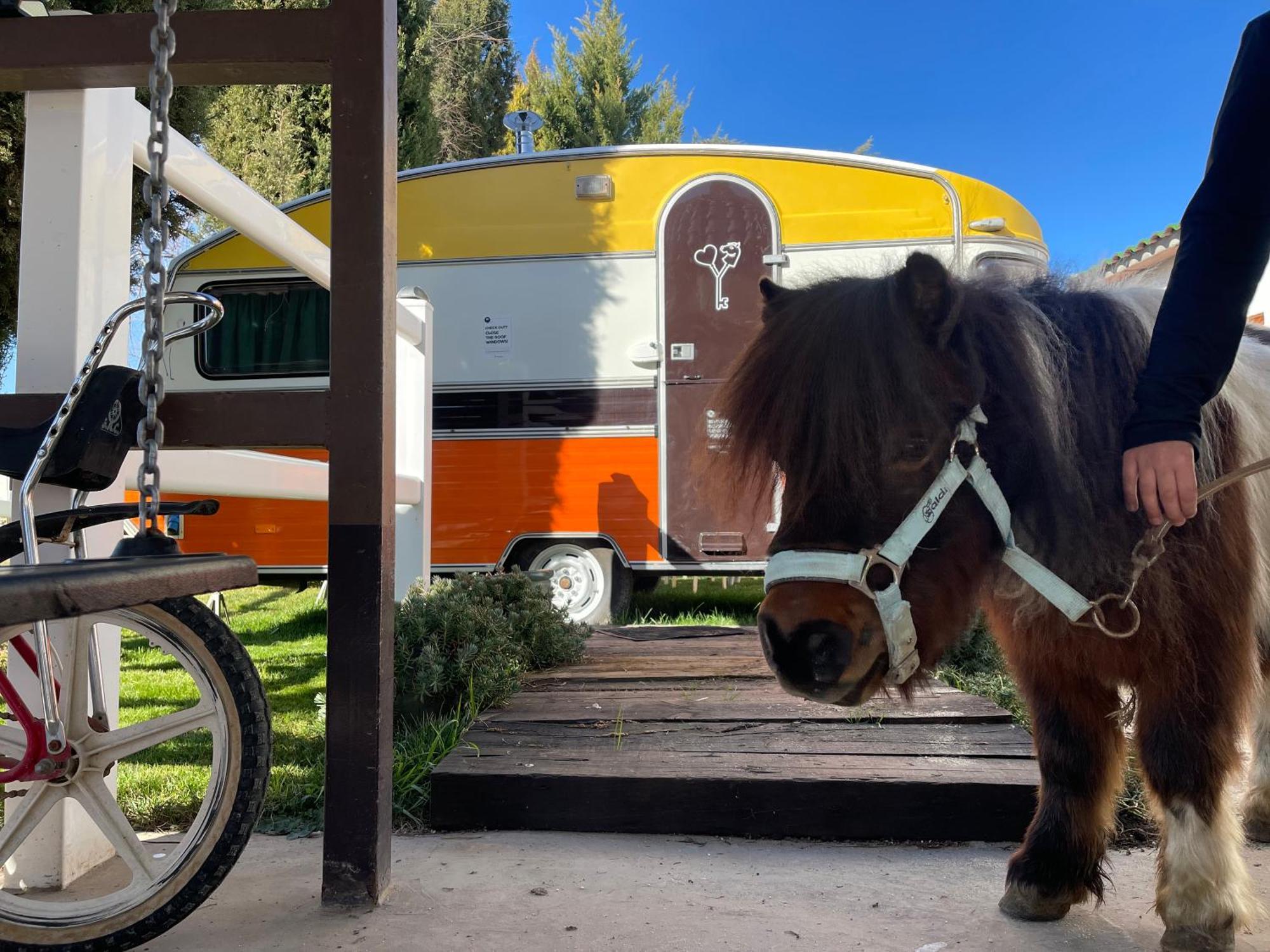 Pensjonat Hearts&Ponies Chinchón Zewnętrze zdjęcie