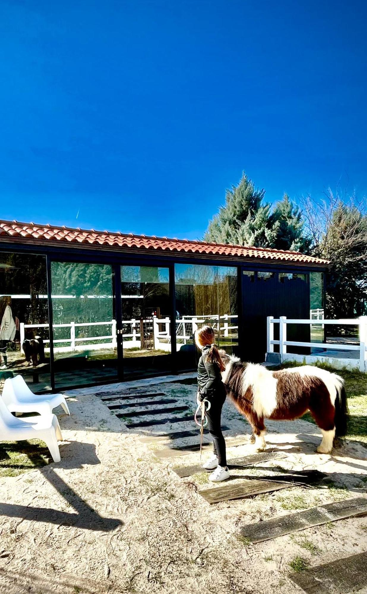 Pensjonat Hearts&Ponies Chinchón Zewnętrze zdjęcie